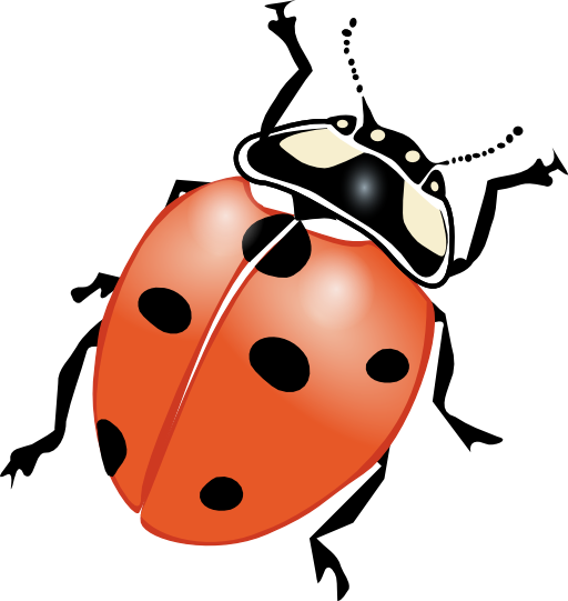 Ladybug