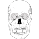 download Evil Skull clipart image with 135 hue color