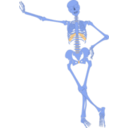 download Human Skeleton Outline clipart image with 180 hue color