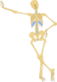 Human Skeleton Outline