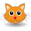 Funny Kitty Face