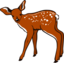 Fawn