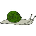 download Snail clipart image with 45 hue color