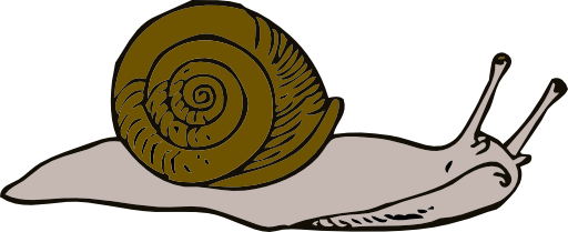 Snail