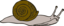 Snail