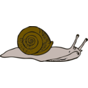 download Snail clipart image with 0 hue color