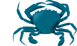 Blue Crab