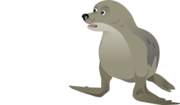 Grey Seal