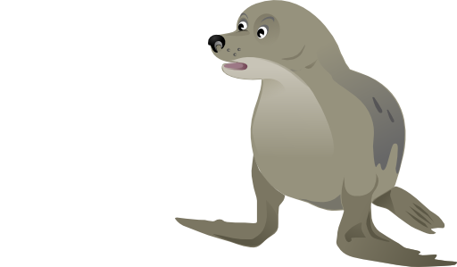 Grey Seal