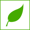 Eco Green Leaf Icon