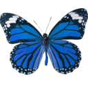 download Danaus Genutia clipart image with 180 hue color