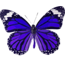 download Danaus Genutia clipart image with 225 hue color