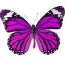 download Danaus Genutia clipart image with 270 hue color