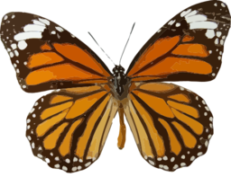 Danaus Genutia