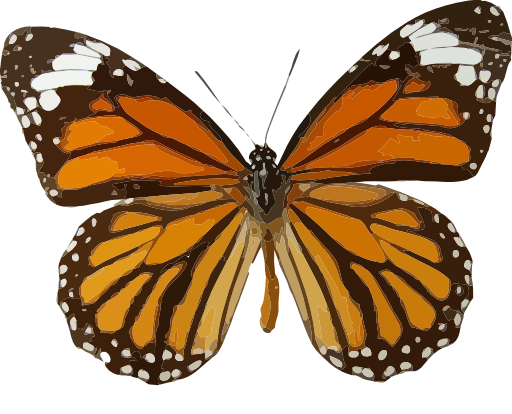 Danaus Genutia