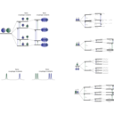 download Nmr Scalar Coupling Schemes clipart image with 45 hue color