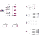 download Nmr Scalar Coupling Schemes clipart image with 135 hue color