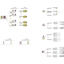 download Nmr Scalar Coupling Schemes clipart image with 225 hue color