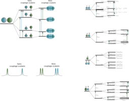 Nmr Scalar Coupling Schemes