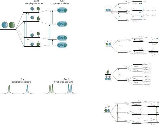 Nmr Scalar Coupling Schemes