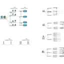 Nmr Scalar Coupling Schemes