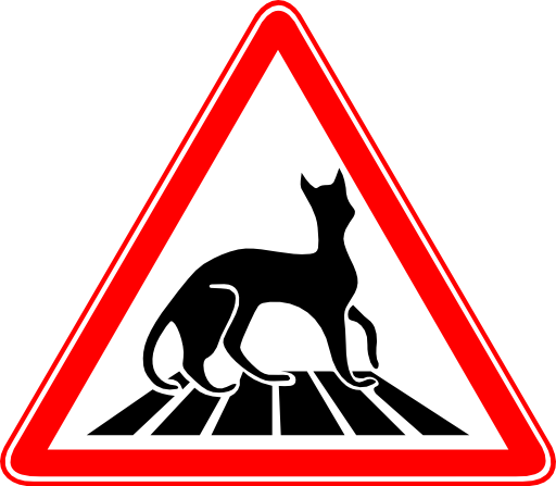 Carefully Cats