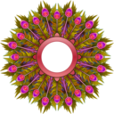 download Peacock Feather Wreath clipart image with 315 hue color