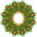 download Peacock Feather Wreath clipart image with 0 hue color