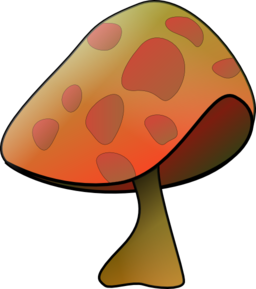 Mushroom