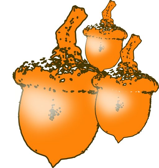 Nuts
