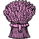 download Sheaf clipart image with 270 hue color