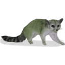 download Ringtail Bassariscus Astutus clipart image with 45 hue color