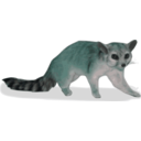 download Ringtail Bassariscus Astutus clipart image with 135 hue color
