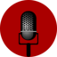 Entertainment Microphone