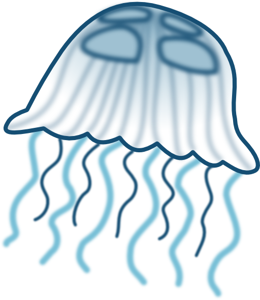 Jellyfish