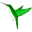 Hummingbird