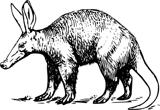Aardvark
