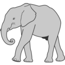 download Elephant clipart image with 45 hue color