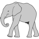 download Elephant clipart image with 180 hue color