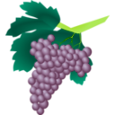 download Grapes Raisin clipart image with 45 hue color