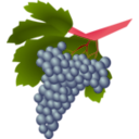 download Grapes Raisin clipart image with 315 hue color