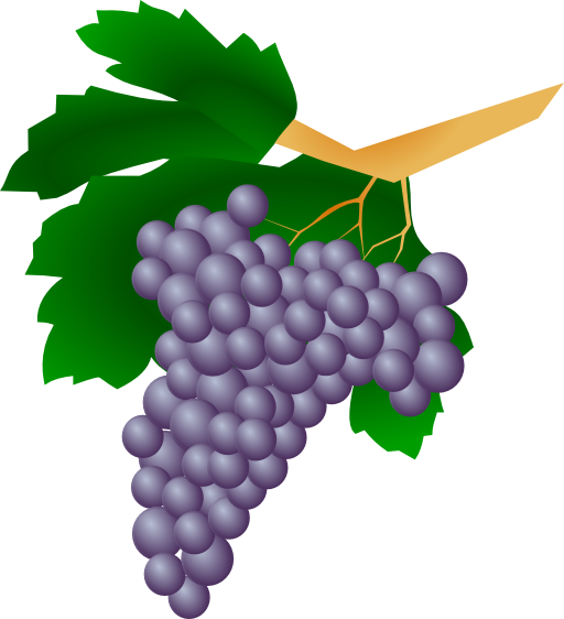 Grapes Raisin