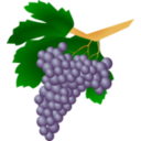 Grapes Raisin