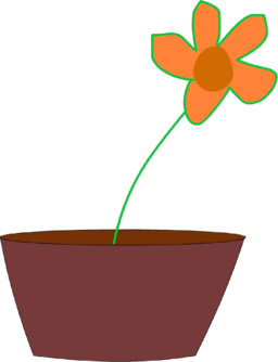 Flower In A Vase