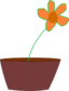 Flower In A Vase