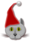 Xmascat