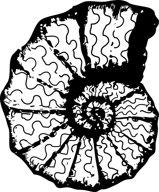 Ceratite