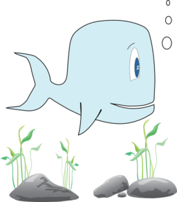 Ocean Whale
