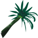 download Coconut Palm clipart image with 90 hue color
