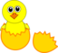 Funny Chick Cartoon Newborn Coming Out From The Egg